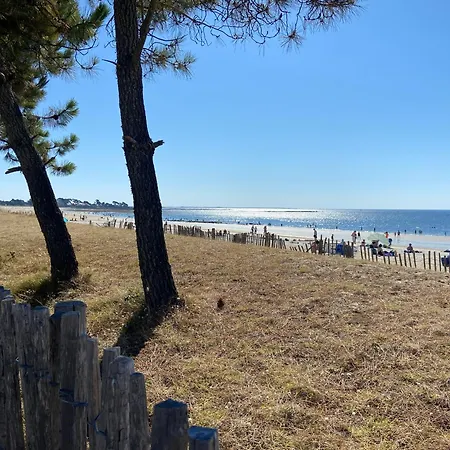 Azur - Triplex Spacieux, Face A La Mer, - T1 Apartment *